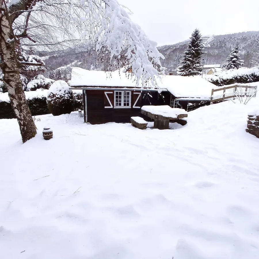 Chalet Des Cascades Le Mont-Dore