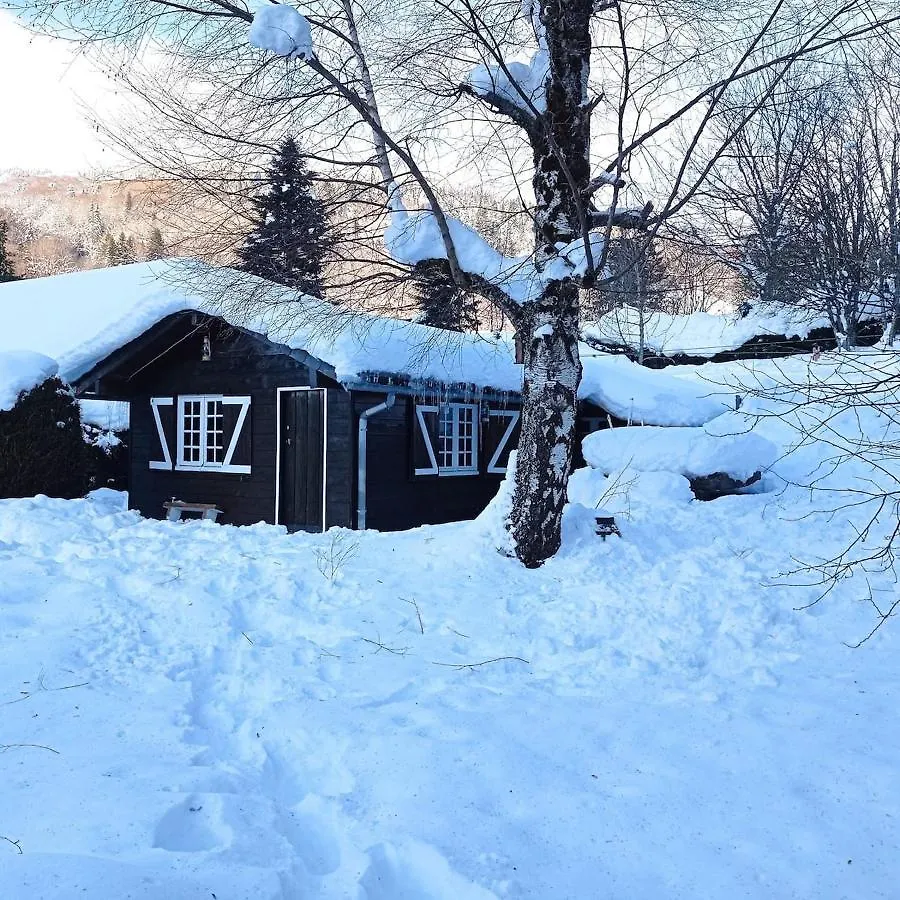Chalet Des Cascades Le Mont-Dore